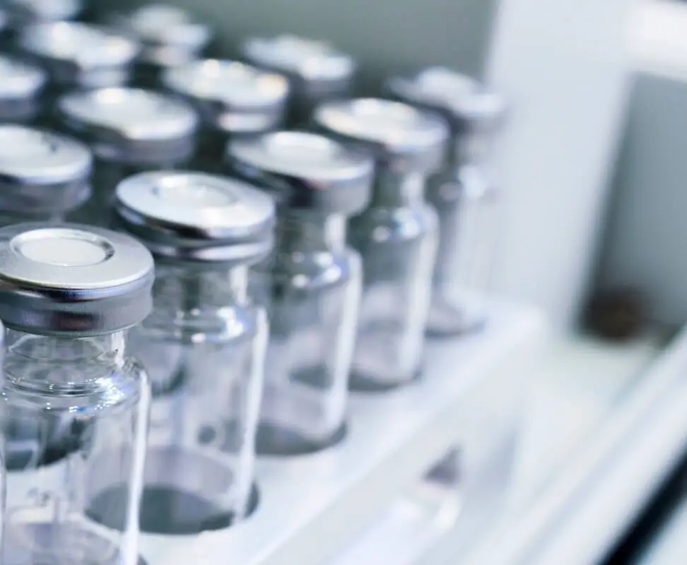 Rows of sealed empty medical vials.